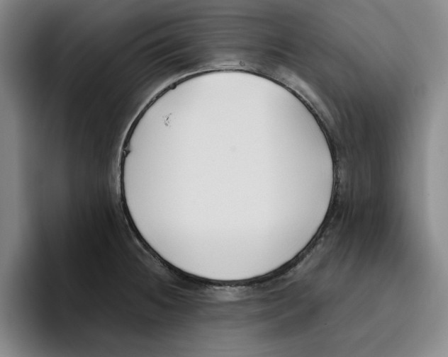 X0000096151236200802151348