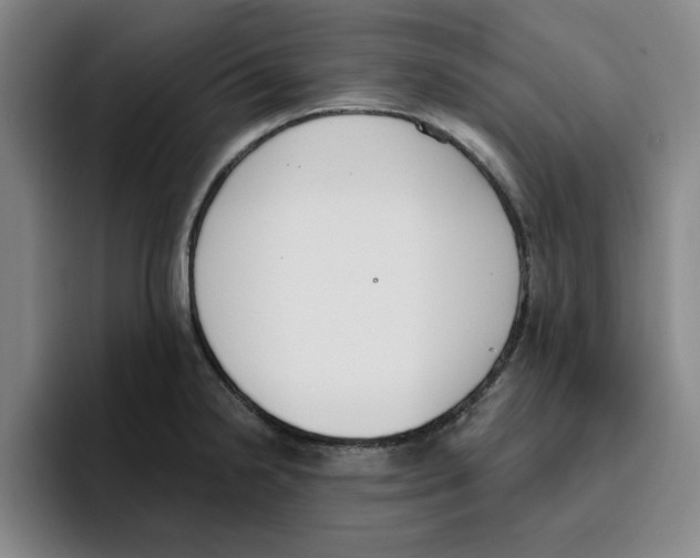 X0000096151238200802151348