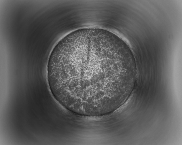 X0000096151239200802151348