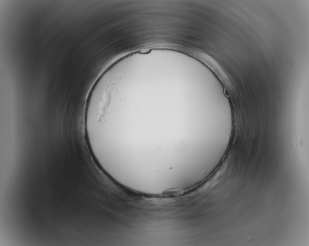 X0000096151244200802151348