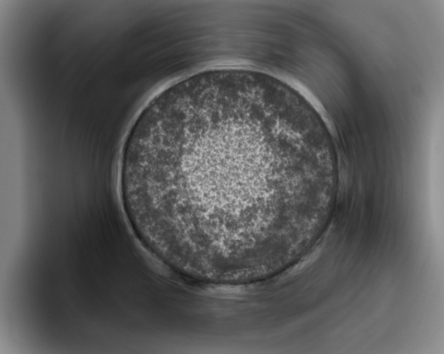 X0000096151245200802151348