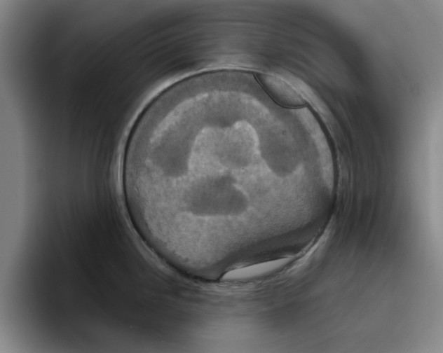 X0000096151246200802151348