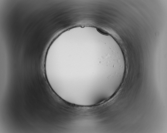 X0000096151248200802151348