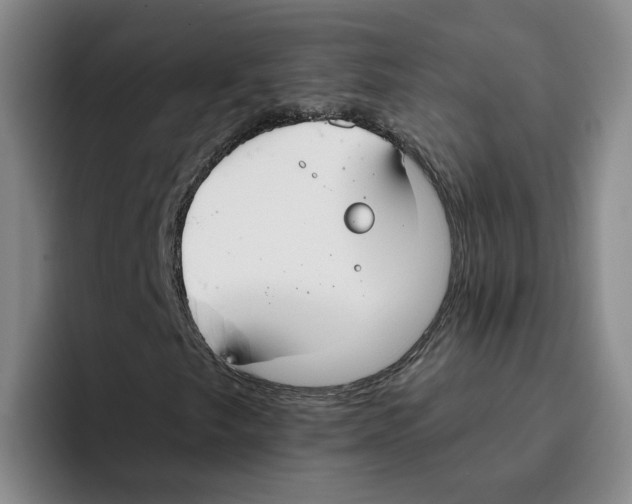 X0000096151249200802151347