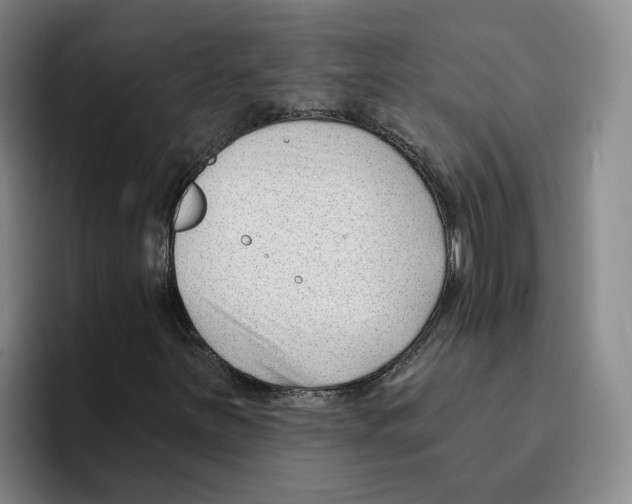 X0000096151251200802151347