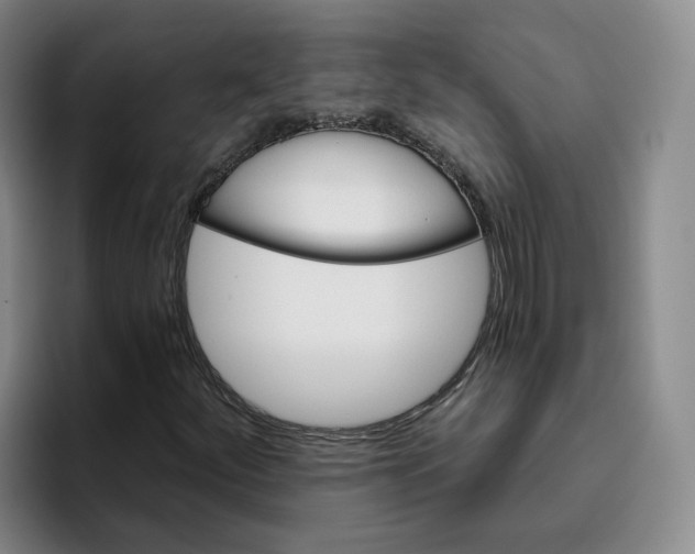 X0000096151252200802151347