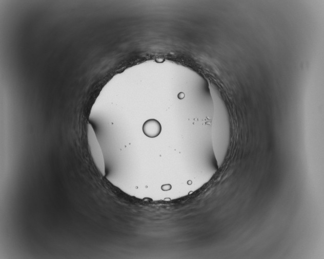 X0000096151253200802151347