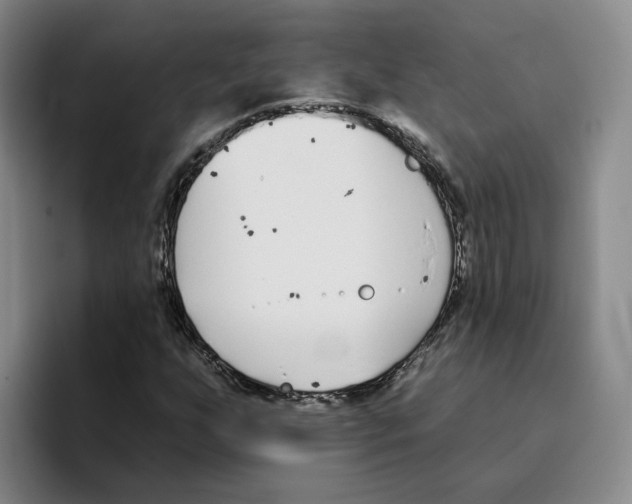 X0000096151255200802151347