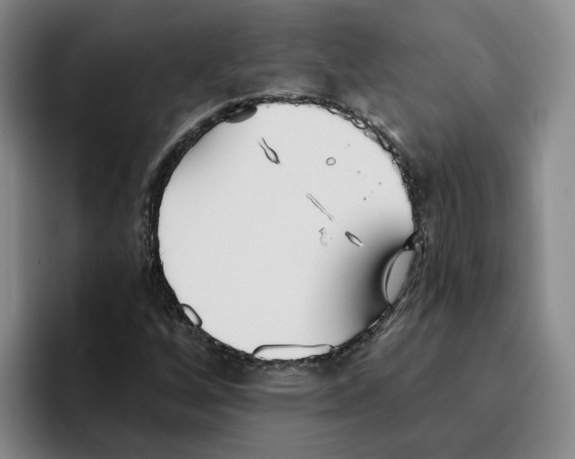 X0000096151256200802151347