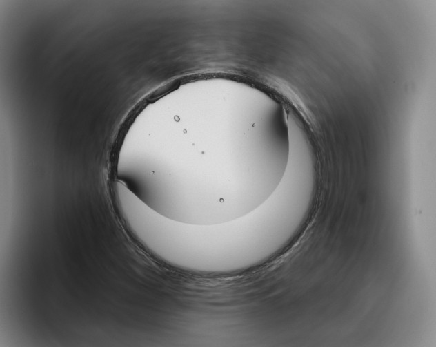 X0000096151260200802151347