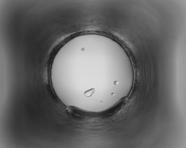 X0000096151262200802151347