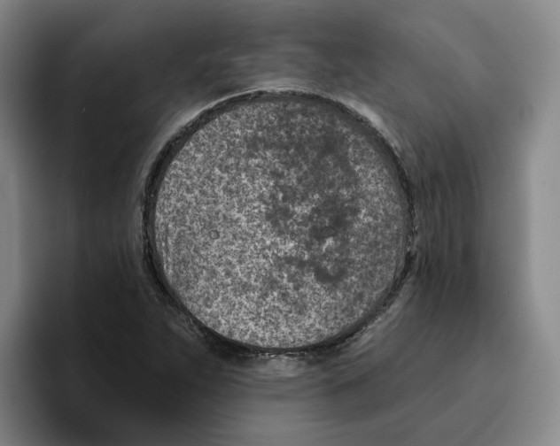 X0000096151263200802151347