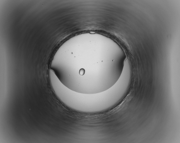 X0000096151265200802151347