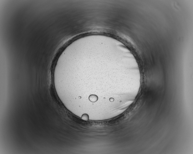 X0000096151267200802151347