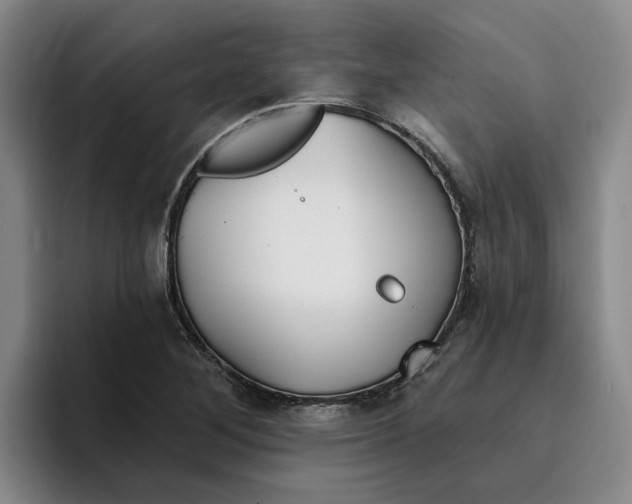 X0000096151268200802151347