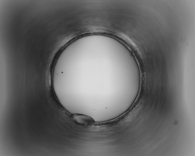 X0000096151269200802151347