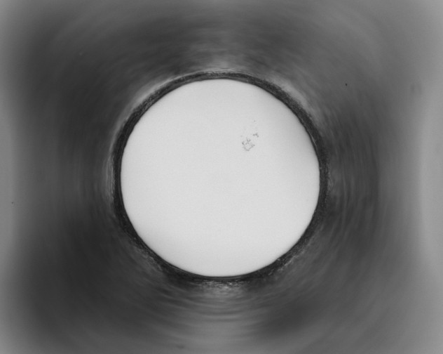 X0000096151270200802151347