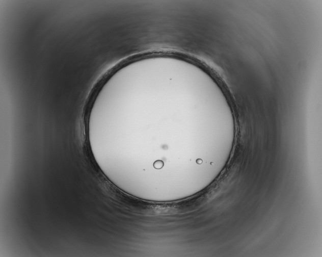 X0000096151271200802151347