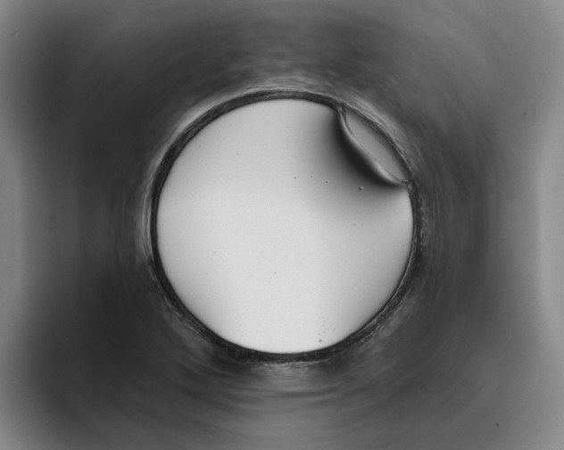 X0000096151272200802151347