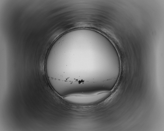 X0000096151273200802151347