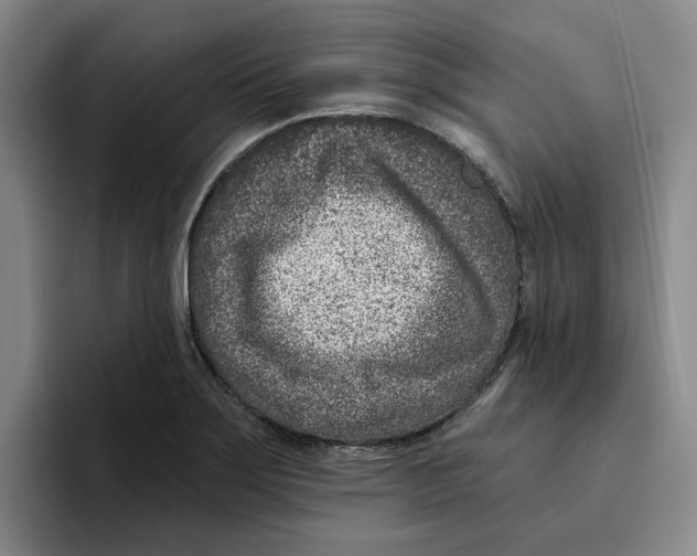 X0000096151275200802151347