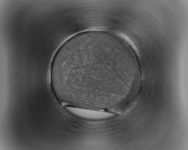 X0000096151276200802151347