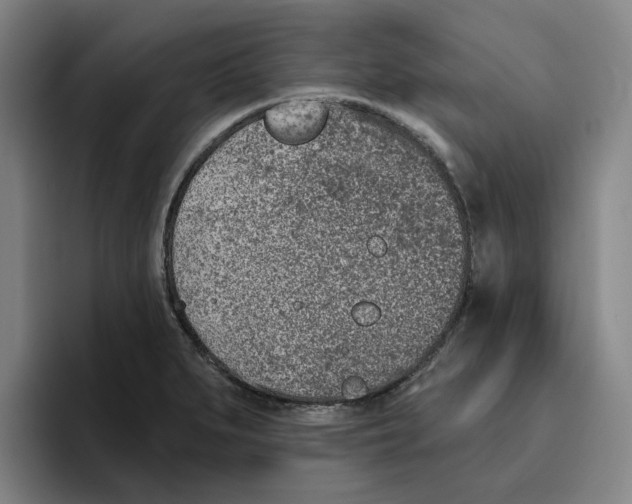 X0000096151279200802151347