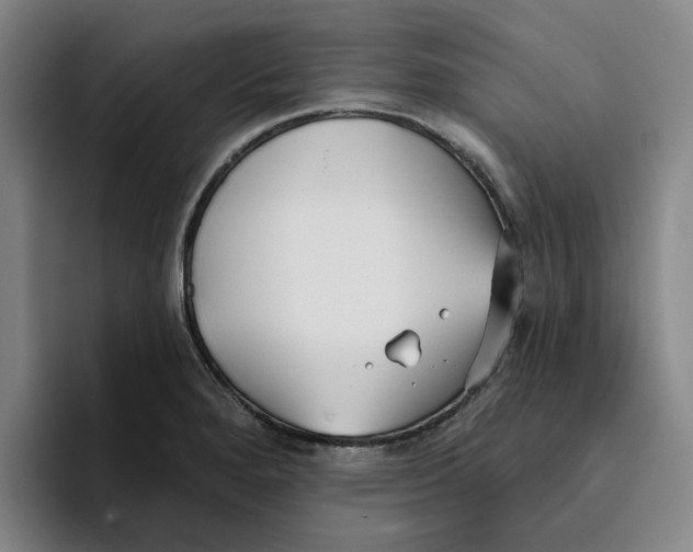 X0000096151280200802151347