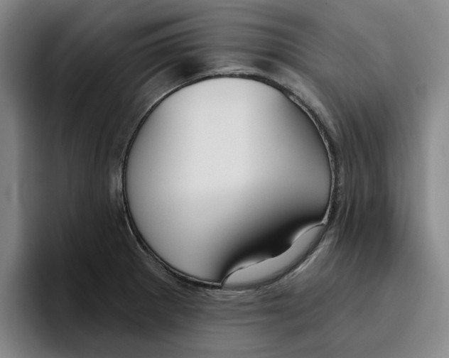 X0000096151281200802151347