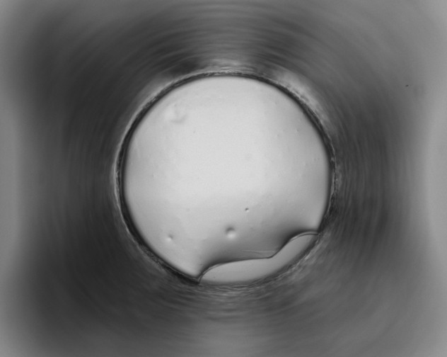 X0000096151283200802151347