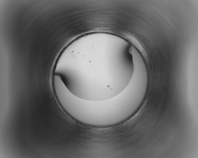 X0000096151284200802151347