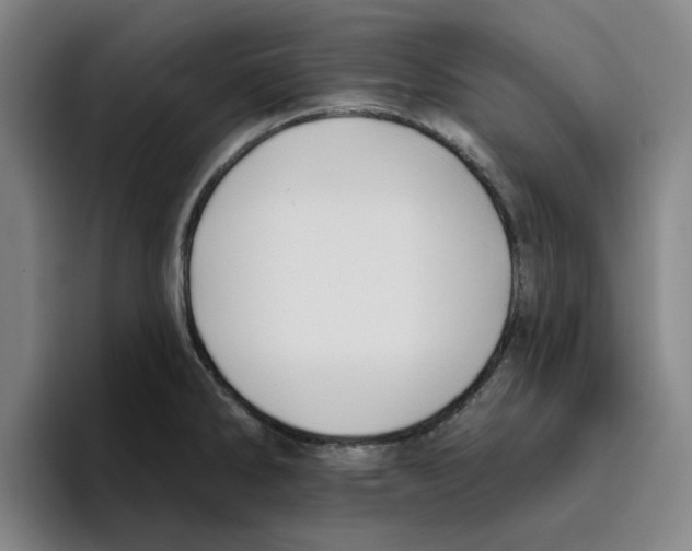 X0000096151286200802151347