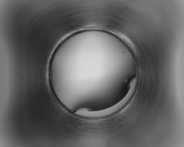 X0000096151288200802151347