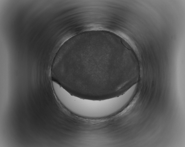 X0000096151289200802151347