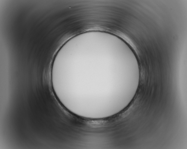 X0000096151290200802151347