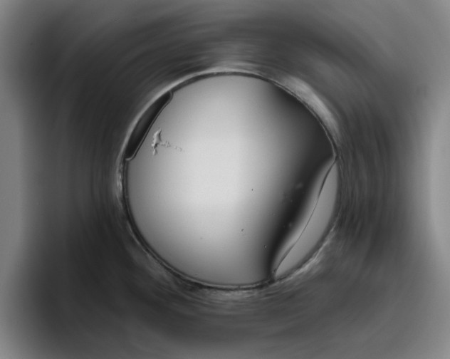 X0000096151292200802151347