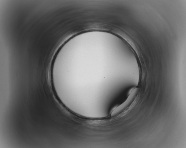 X0000096151293200802151347