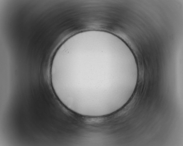 X0000096151294200802151347