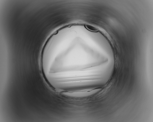 X0000096151295200802151347