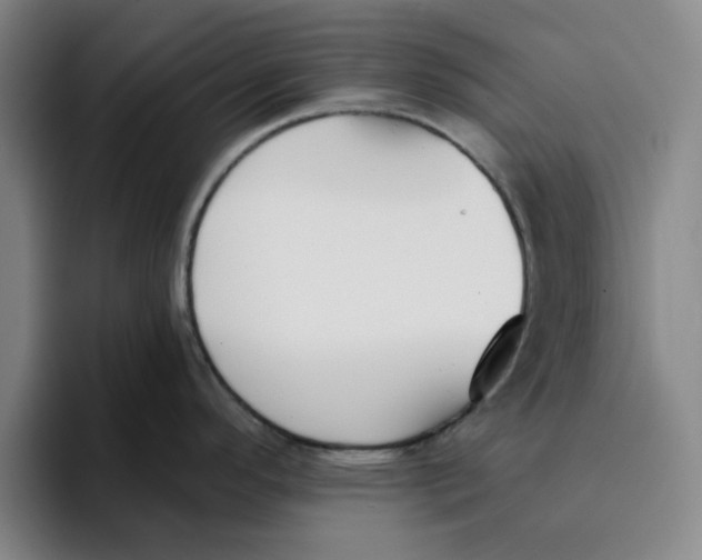 X0000096151296200802151347