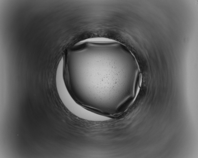 X0000096151298200802151346