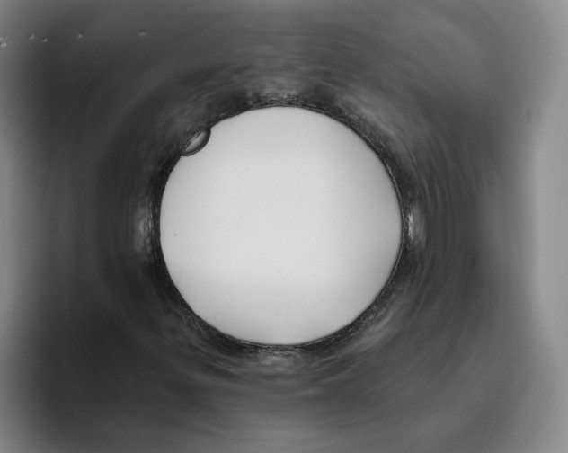 X0000096151299200802151346