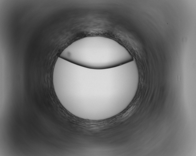 X0000096151300200802151346