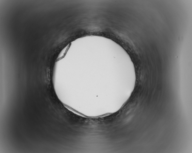 X0000096151301200802151346