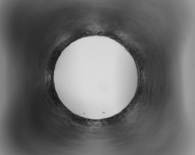 X0000096151302200802151346