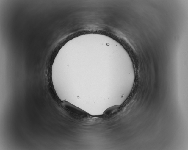 X0000096151304200802151346