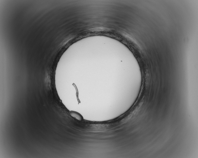 X0000096151305200802151346