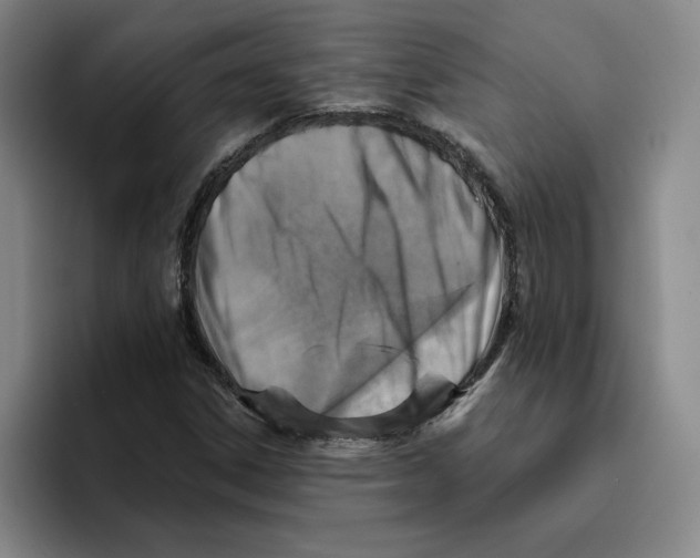 X0000096151306200802151346