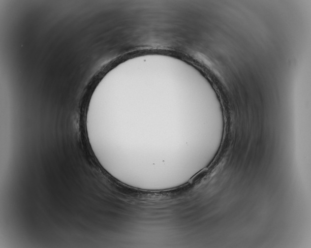 X0000096151307200802151346