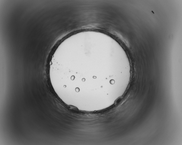 X0000096151308200802151346